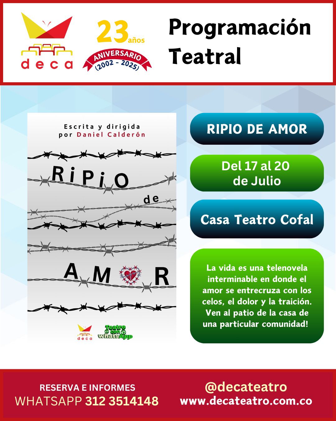 Imagen 6